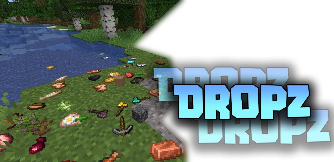 Dropz for Minecraft 1.16.5