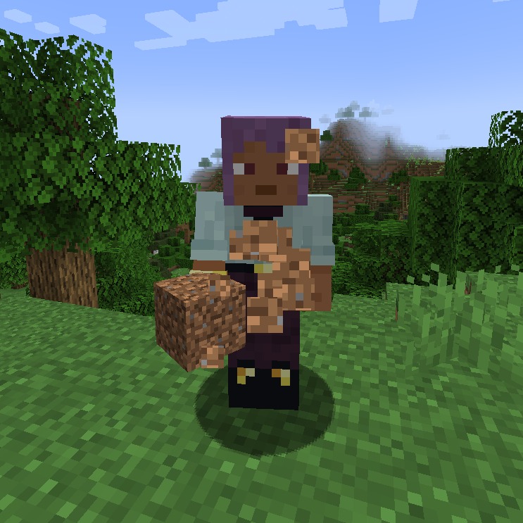 Transmog for Minecraft 1.19.4