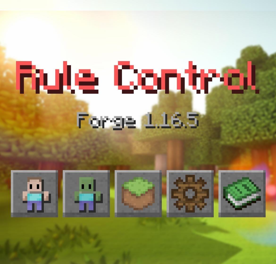 Rule Control for Minecraft 1.16.5