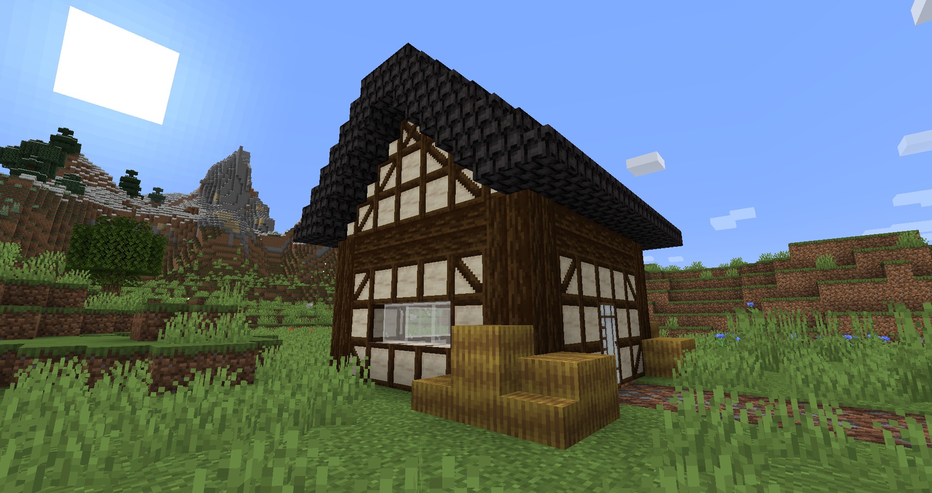 Blockus for Minecraft 1.15.2