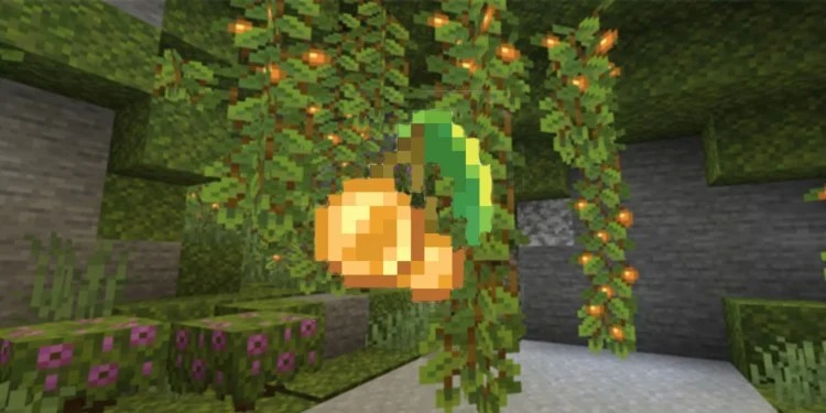 Glow Berry Lantern for Minecraft 1.19.2