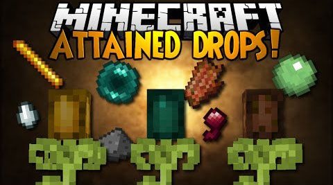 Attained Drops 2 for Minecraft 1.15.2