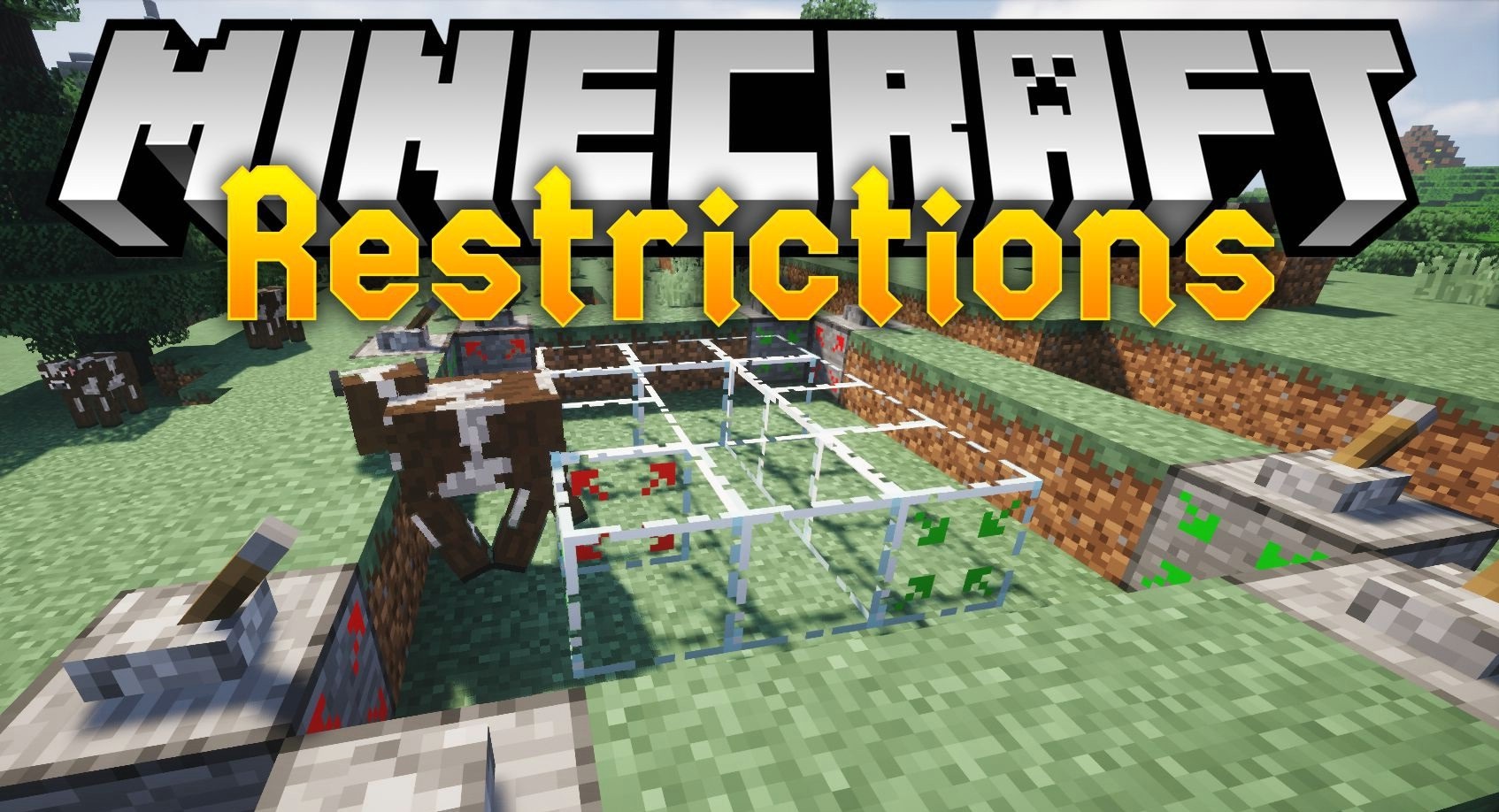 Restrictions for Minecraft 1.16.2