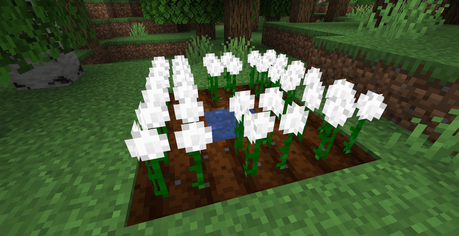 Cottonly for Minecraft 1.16.5