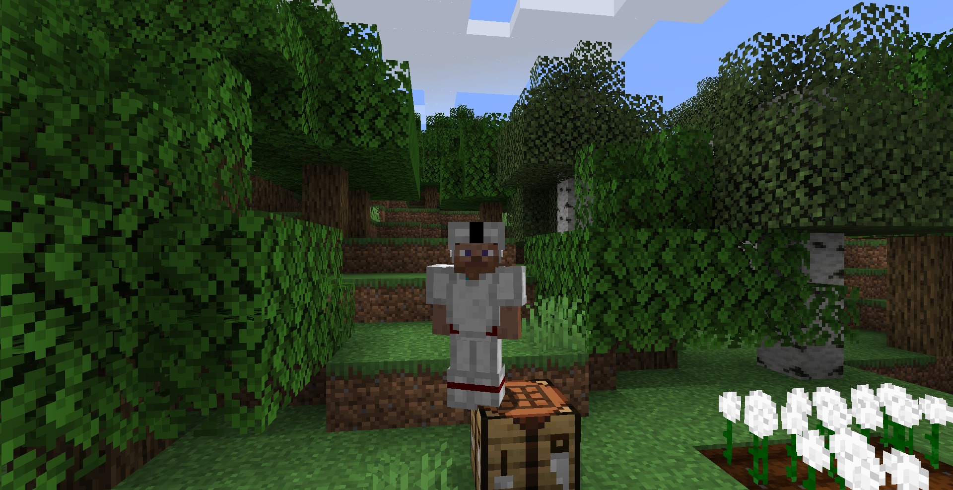 Cottonly for Minecraft 1.18.1