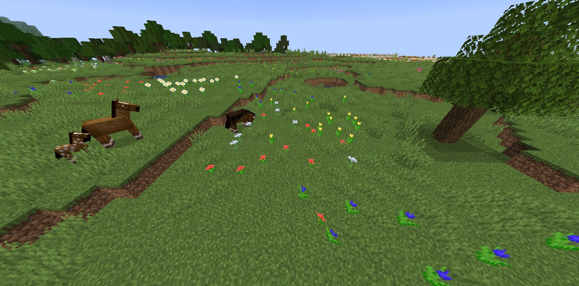 Nature Expansion for Minecraft 1.16.5