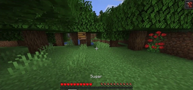 Edibles for Minecraft 1.14.4