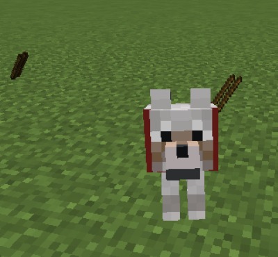 Wolves Play Fetch for Minecraft 1.17.1