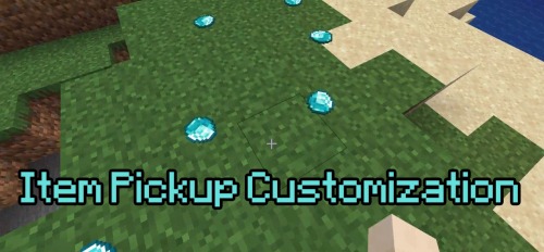 Item Pickup Customization for Minecraft 1.16.1