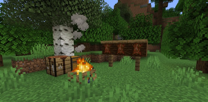 FleshZ for Minecraft 1.16.5