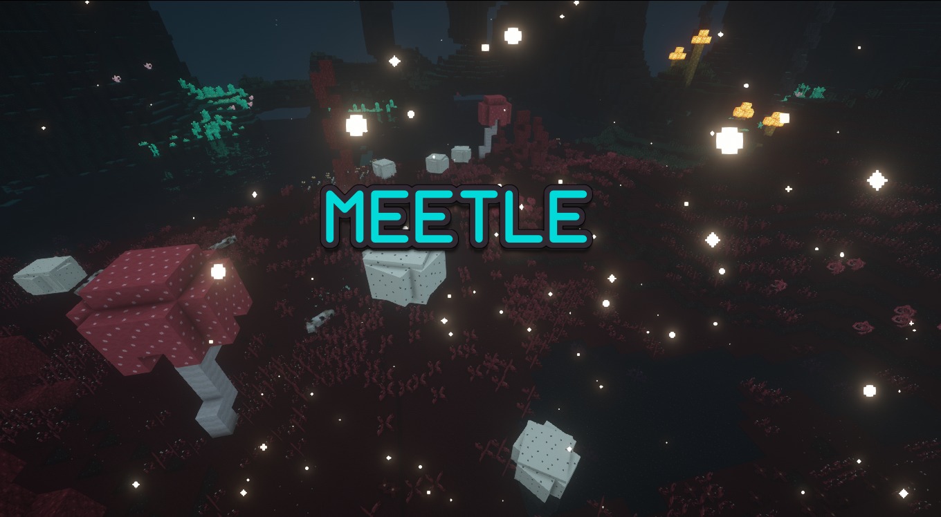 Meetle for Minecraft 1.16.5