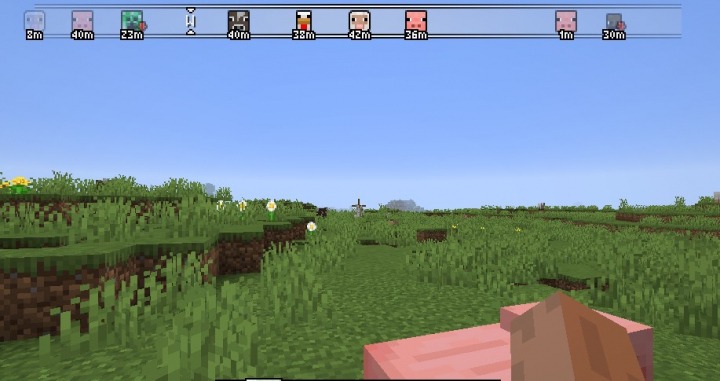 Advanced Compass for Minecraft 1.16.3