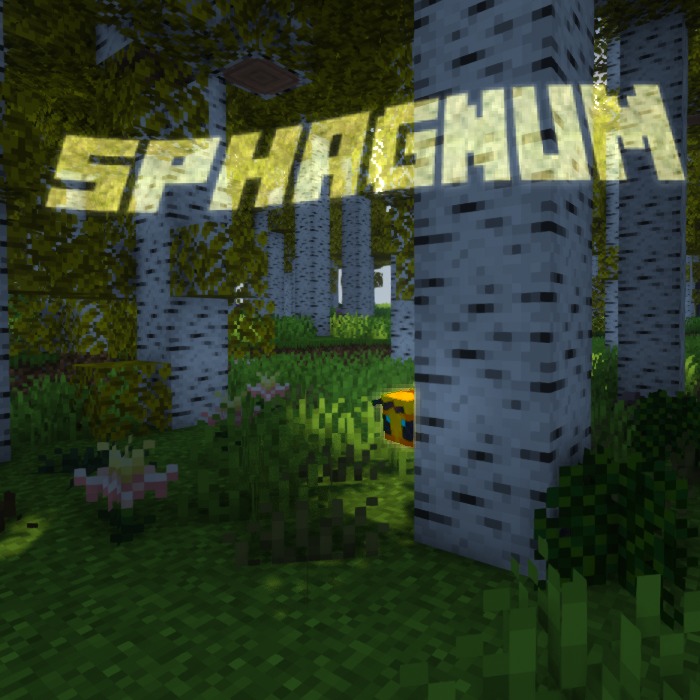 Sphagnum for Minecraft 1.16.5