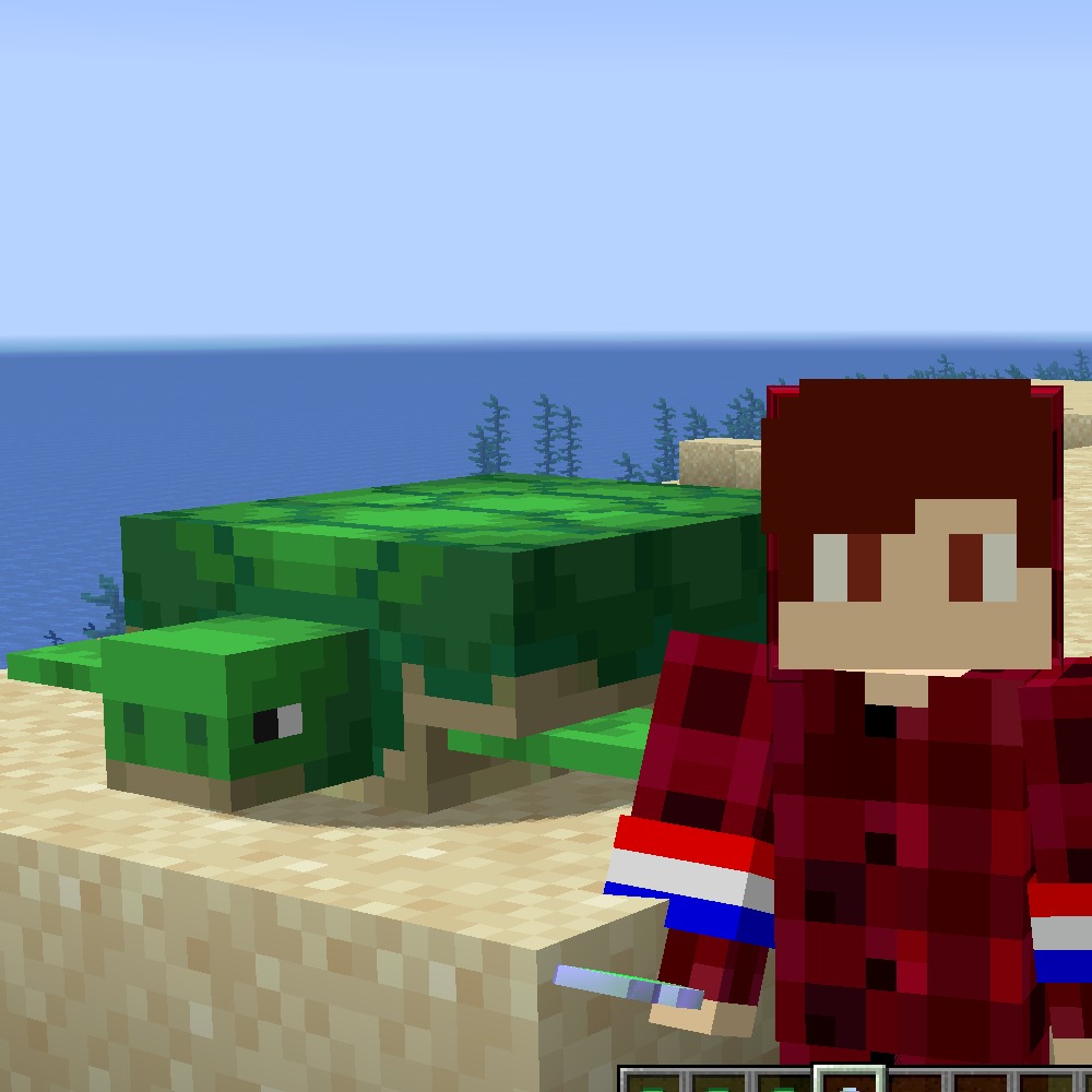 Better Turtle Shells for Minecraft 1.16.5