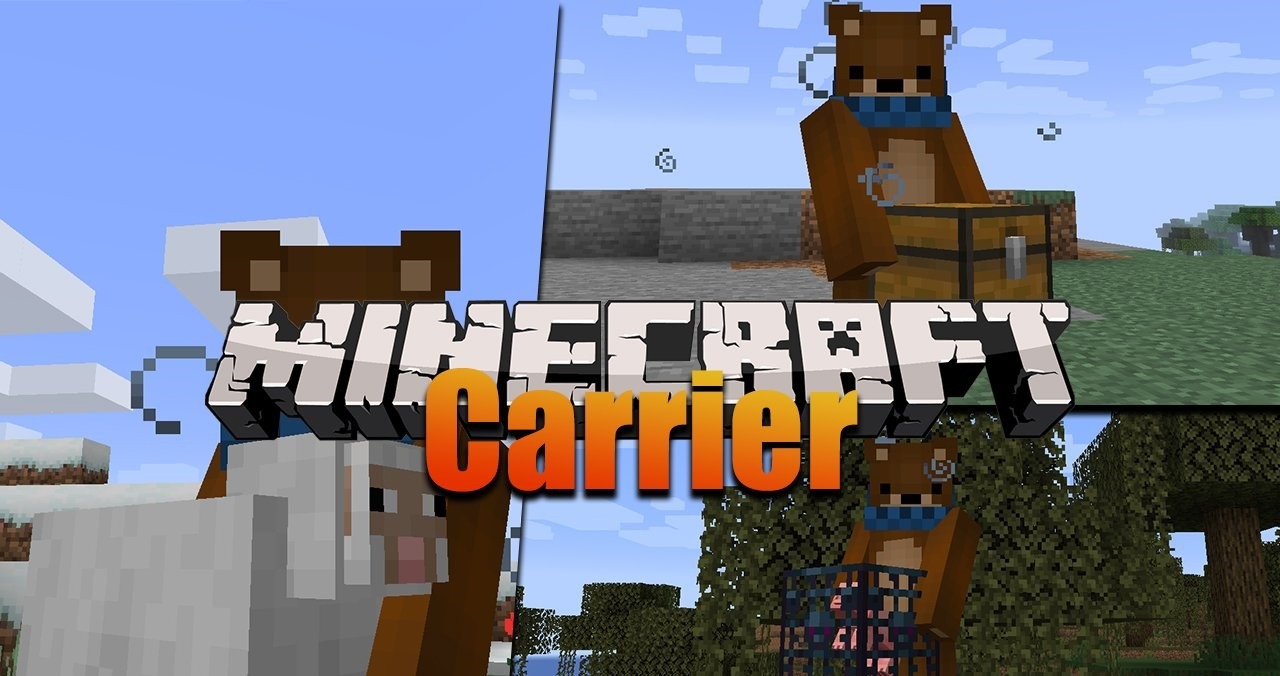 Carrier for Minecraft 1.16.5