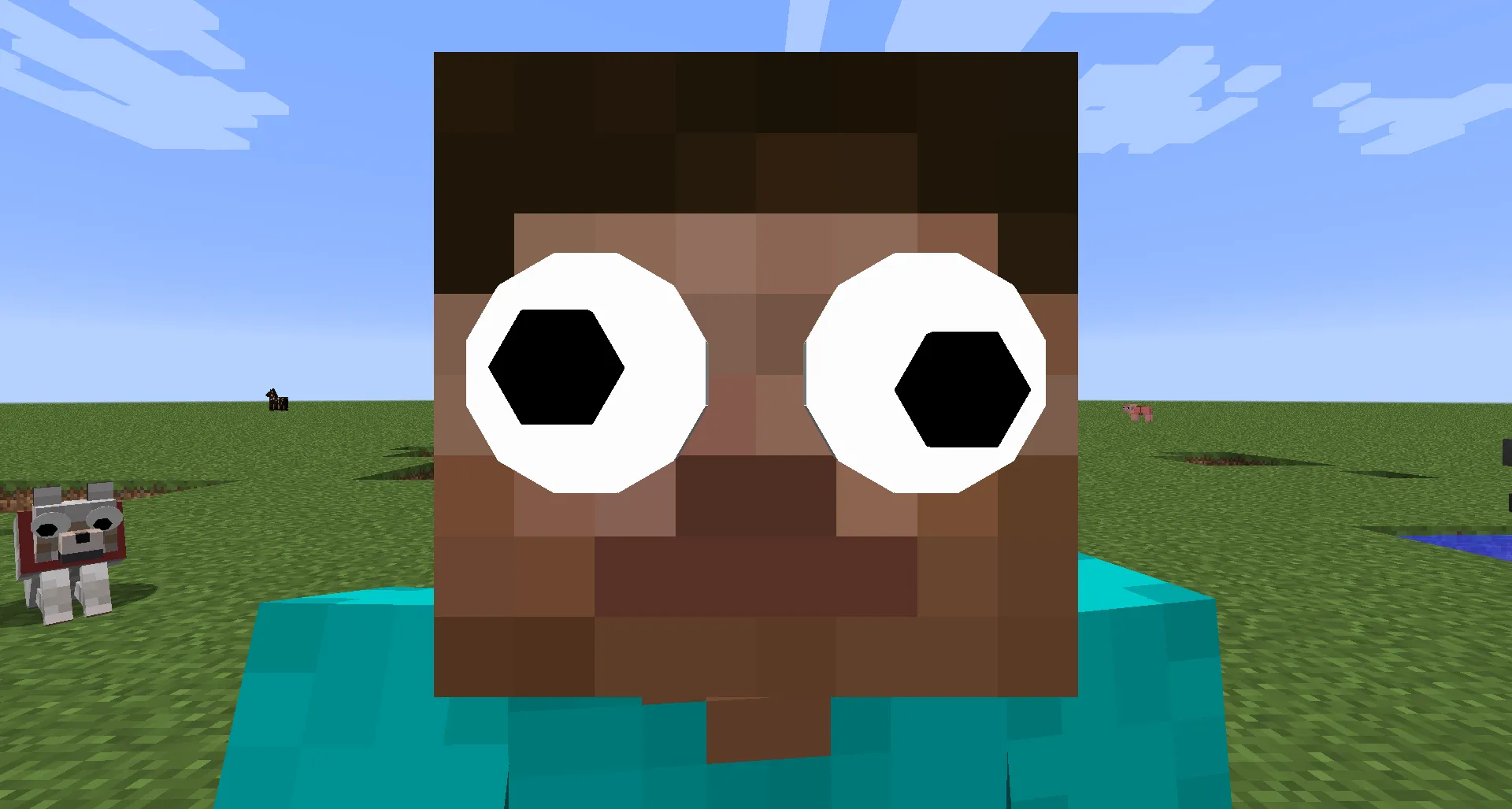 GooglyEyes for Minecraft 1.16.4