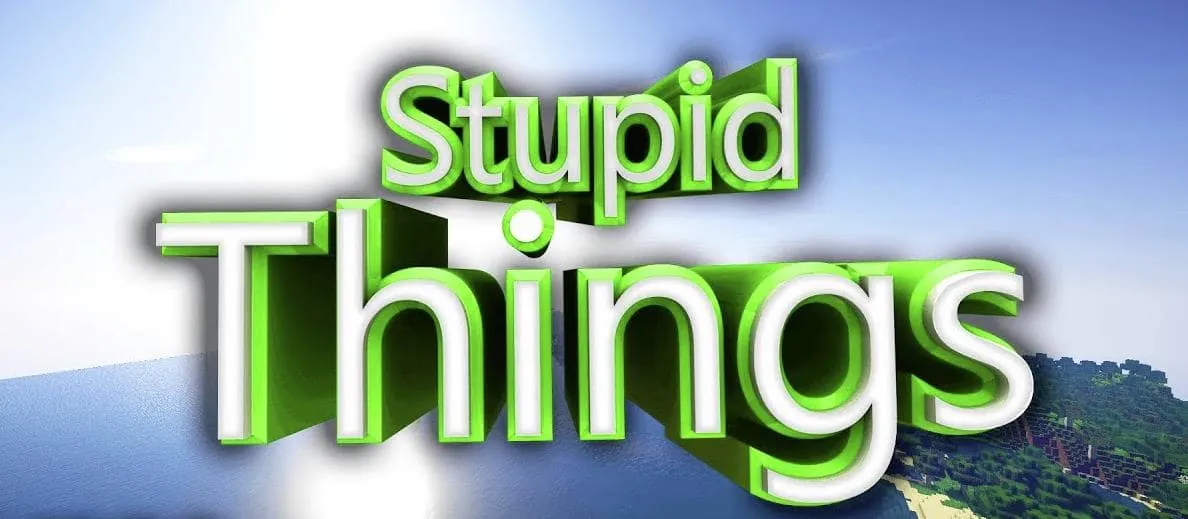 Stupid Things for Minecraft 1.11.2