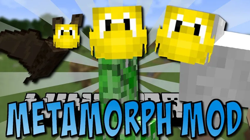 Metamorph for Minecraft 1.10.2