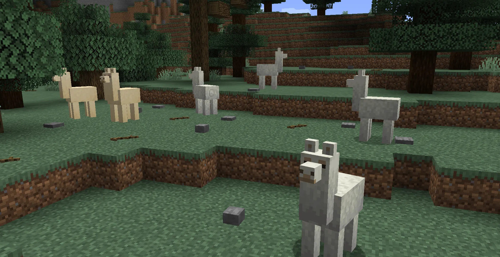 ForageCraft for Minecraft 1.16.4