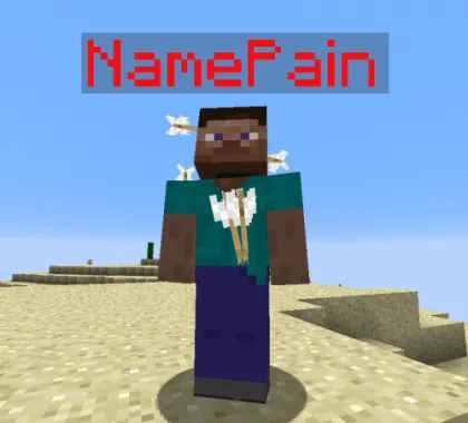 Name Pain for Minecraft 1.8.9