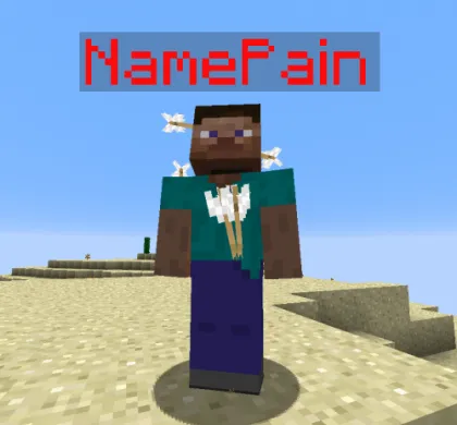 Name Pain for Minecraft 1.16.3