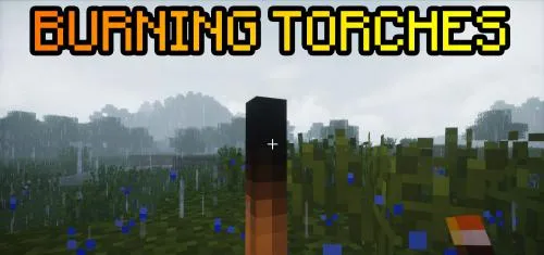 Burning Torches for Minecraft 1.12.2