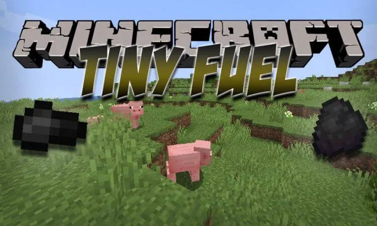 Tiny Fuel for Minecraft 1.16