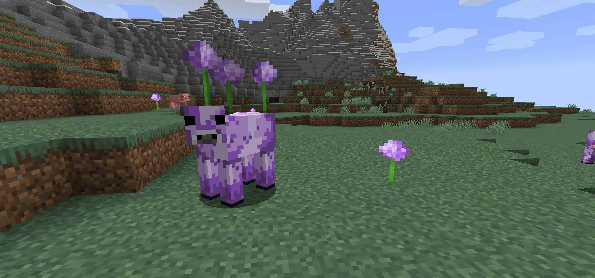 Mooblooms for Minecraft 1.16