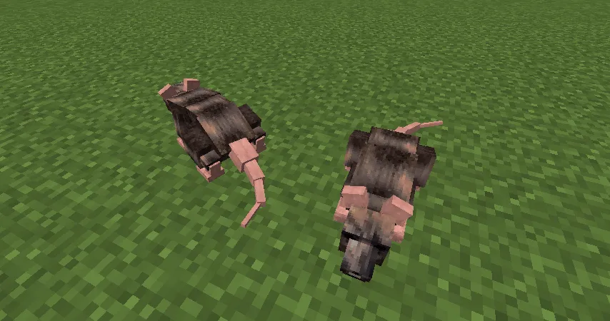 Animalium for Minecraft 1.15.2