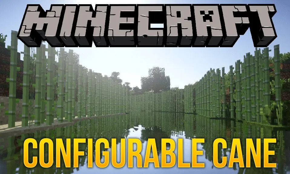 Configurable Cane for Minecraft 1.19.4