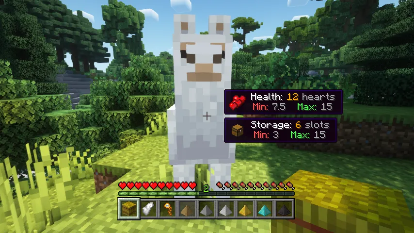 Horse Expert for Minecraft 1.18.2