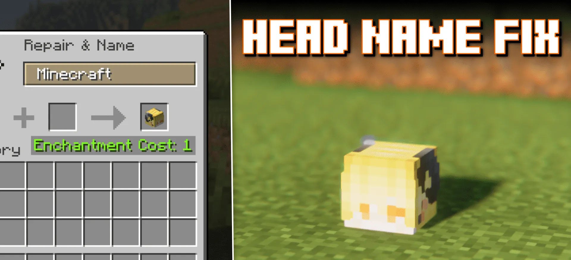 Head Name Fix for Minecraft 1.19.4